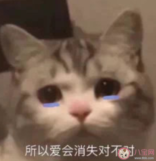 所以愛會消失對不對下一句怎么接 所以愛會不會消失回復答案 所以愛會消失對不對下一句怎么接 所以愛會不會消失回復答案