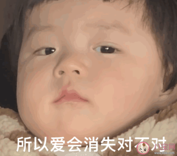 所以愛會消失對不對下一句怎么接 所以愛會不會消失回復答案 所以愛會消失對不對下一句怎么接 所以愛會不會消失回復答案