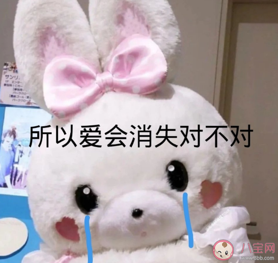 所以愛會消失對不對下一句怎么接 所以愛會不會消失回復答案 所以愛會消失對不對下一句怎么接 所以愛會不會消失回復答案