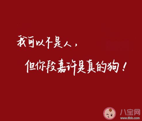 抖音段嘉許是誰個人資料 《偷偷藏不住》經典語錄摘抄大全