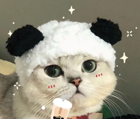 教科書追女生的情話大全有哪些 適合表白的土味情話100句 教科書追女生的情話大全有哪些 適合表白的土味情話100句