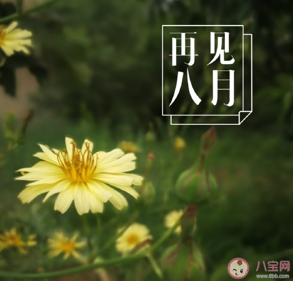 八月最后一天朋友圈文案句子 八月最后一天朋友圈文案說說大全