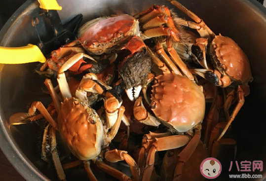 曬吃螃蟹發朋友圈配文說說 形容吃螃蟹好吃的幽默句子 曬吃螃蟹發朋友圈配文說說 形容吃螃蟹好吃的幽默句子