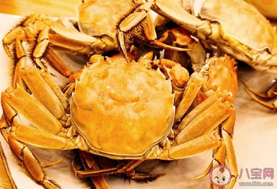 曬吃螃蟹發朋友圈配文說說 形容吃螃蟹好吃的幽默句子 曬吃螃蟹發朋友圈配文說說 形容吃螃蟹好吃的幽默句子