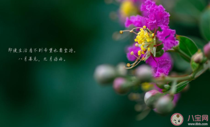 九月請(qǐng)對(duì)我好一點(diǎn)心情文案說說配圖2020 九月請(qǐng)對(duì)我好一點(diǎn)圖片句子大全2020