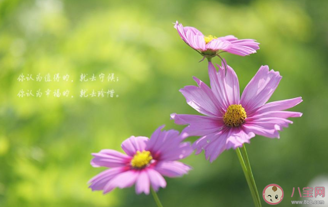 九月請(qǐng)對(duì)我好一點(diǎn)心情文案說說配圖2020 九月請(qǐng)對(duì)我好一點(diǎn)圖片句子大全2020