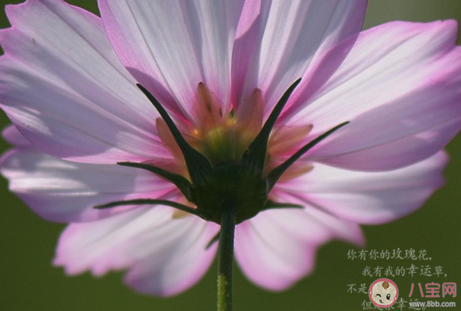 九月請(qǐng)對(duì)我好一點(diǎn)心情文案說說配圖2020 九月請(qǐng)對(duì)我好一點(diǎn)圖片句子大全2020