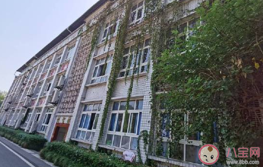 回母校的幽默感慨心情句子  關于重回學校的朋友圈經典句子