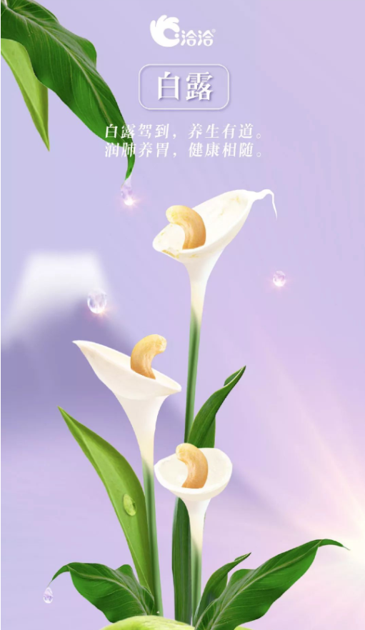 2020白露節氣優秀海報文案鑒賞 最新白露節氣借勢文案大全