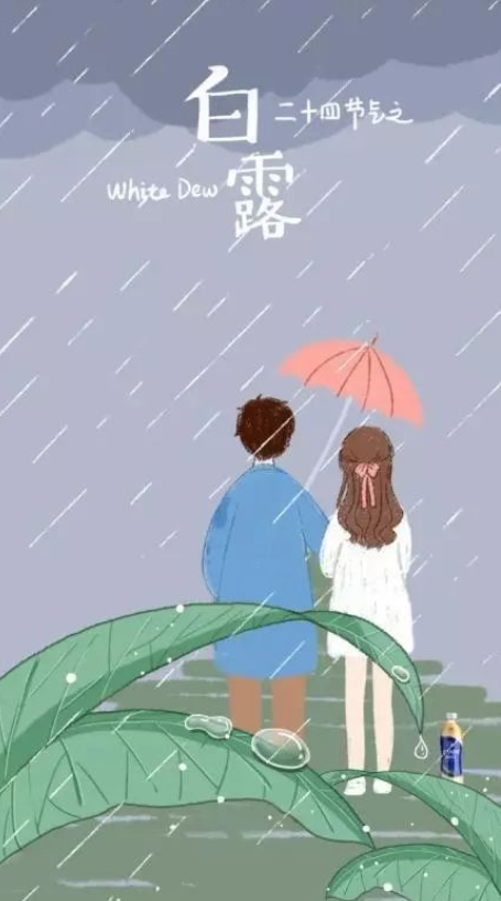 2020白露節氣優秀海報文案鑒賞 最新白露節氣借勢文案大全