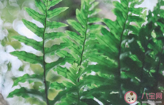 怎么用裝傻的方式搭訕女生 第一次認識的開場白對話 怎么用裝傻的方式搭訕女生 第一次認識的開場白對話