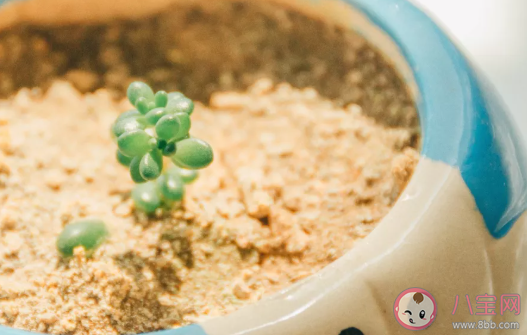 怎么用講故事的方式搭訕女生 搭訕女生的套路對(duì)話