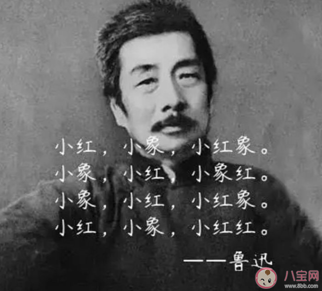 《仲夏滿天星》中小紅象是魯迅寫的是真的嗎 ?《小紅象》完整版歌詞是什么 《仲夏滿天星》中小紅象是魯迅寫的是真的嗎 ?《小紅象》完整版歌詞是什么