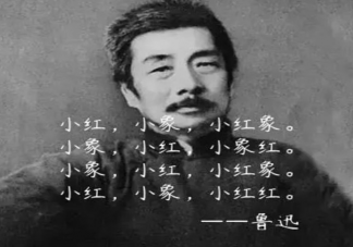 《仲夏滿天星》中小紅象是魯迅寫的是真的嗎 ?《小紅象》完整版歌詞是什么