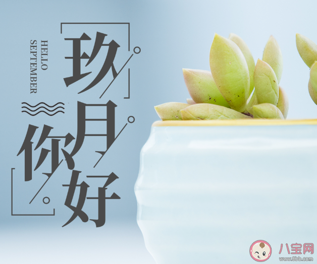 2020只剩三分之一的朋友圈文案說說 2020只剩三分之一朋友圈文案句子 2020只剩三分之一的朋友圈文案說說 2020只剩三分之一朋友圈文案句子