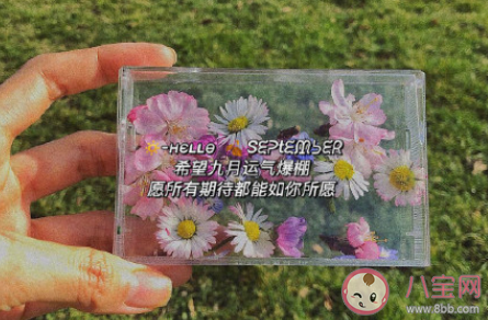 2020九月簡短勵志句子 九月正能量文藝短句