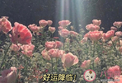 我希望你的九月祝福語 我希望你的九月祝福句子