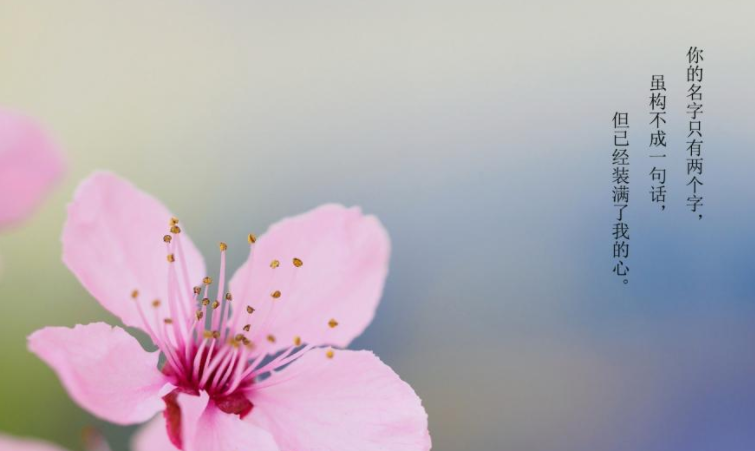 情侶聊天記錄甜蜜日常情話文案 情侶日常聊天記錄撒狗糧句子 情侶聊天記錄甜蜜日常情話文案 情侶日常聊天記錄撒狗糧句子