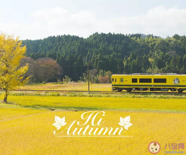 夏天再見秋天你好心情說說 夏天再見秋天你好心情句子