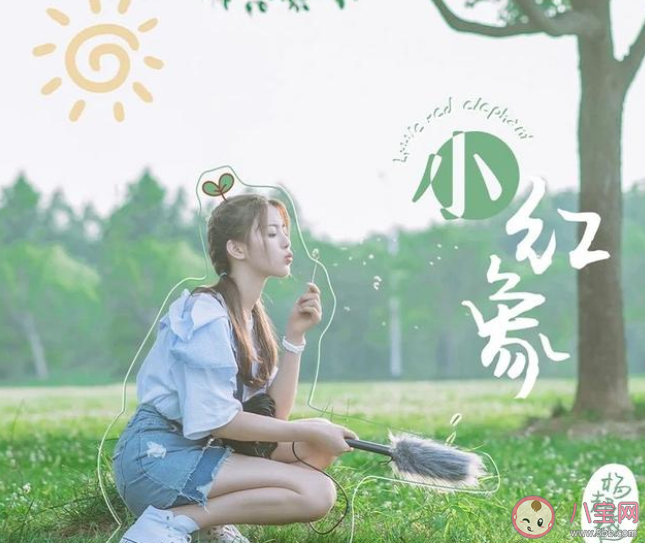 楊超越《小紅象》歌詞是什么 《小紅象》完整版歌詞在線聽(tīng)歌 楊超越《小紅象》歌詞是什么 《小紅象》完整版歌詞在線聽(tīng)歌