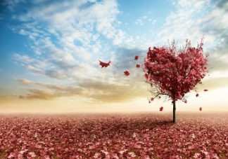 夏天再見秋天你好正能量說說 夏天再見秋天你好經典句子