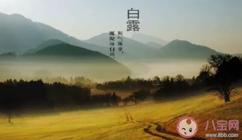 2020白露節(jié)氣一句話發(fā)朋友圈祝福語 白露祝福語溫馨的話大全