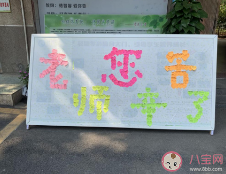 2020年教師節最新活動通訊稿 教師節新聞稿范文大全五篇