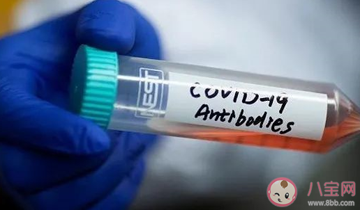新冠抗體能維持多長時間 注射疫苗之后還會得新冠嗎 新冠抗體能維持多長時間 注射疫苗之后還會得新冠嗎