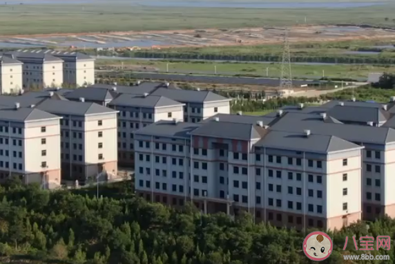 天津一小區(qū)16棟樓住十萬個(gè)骨灰盒是怎么回事 為什么有人買房放骨灰 天津一小區(qū)16棟樓住十萬個(gè)骨灰盒是怎么回事 為什么有人買房放骨灰