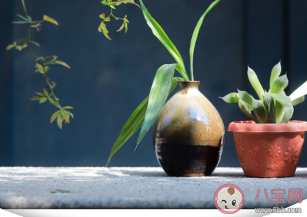 女生說你很自信怎么回復 你很自戀的聊天話術