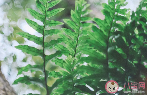 女生說你很自信怎么回復 你很自戀的聊天話術 女生說你很自信怎么回復 你很自戀的聊天話術