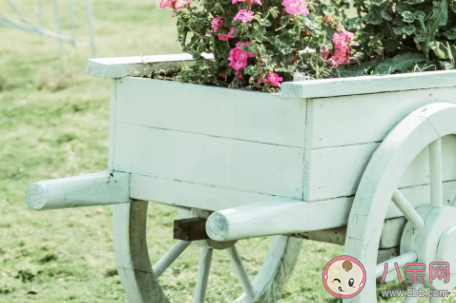 女生說你很自信怎么回復 你很自戀的聊天話術 女生說你很自信怎么回復 你很自戀的聊天話術