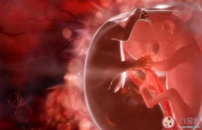 懷孕后為什么孕期會產(chǎn)生羊水 懷孕后羊水是怎么來的