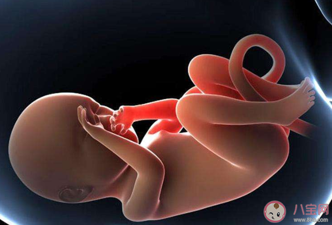 懷孕后為什么孕期會產(chǎn)生羊水 懷孕后羊水是怎么來的