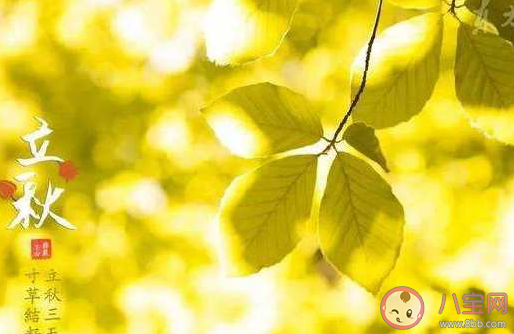 2020白露節(jié)氣早安心情感慨 白露早安說說朋友圈