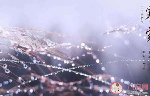 2020白露節氣適合發什么朋友圈 白露節氣朋友圈心情說說