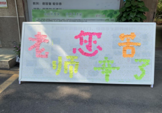2020年教師節(jié)最新活動(dòng)通訊稿 教師節(jié)新聞稿范文大全五篇