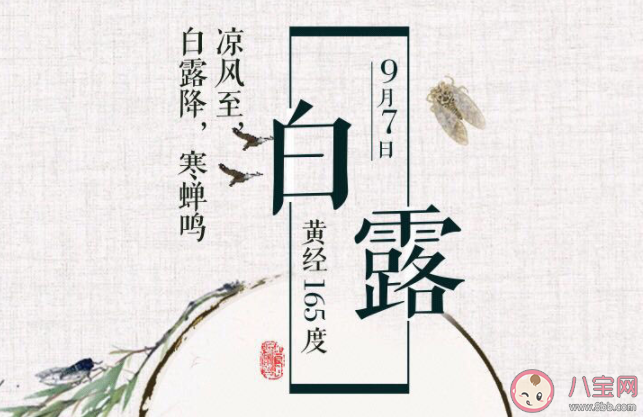 2020幼兒園白露節氣活動現場報道稿 2020幼兒園白露主題活動報道三篇