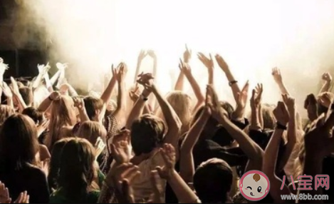 飯圈有哪些潛臺詞 飯圈潛臺詞大全 飯圈有哪些潛臺詞 飯圈潛臺詞大全