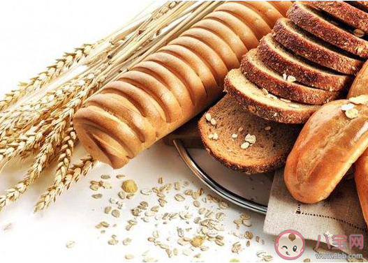 央視調查真假全麥面包什么原因 如何辨別真假全麥面包 央視調查真假全麥面包什么原因 如何辨別真假全麥面包