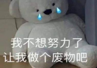 王建國自稱是天生的廢物是怎么回事 廢物論的說法是什么