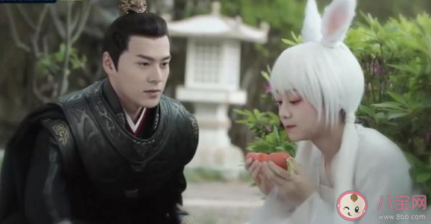 離人心上薛曜和薛暮誰是關山先生 初月最后醒了嗎