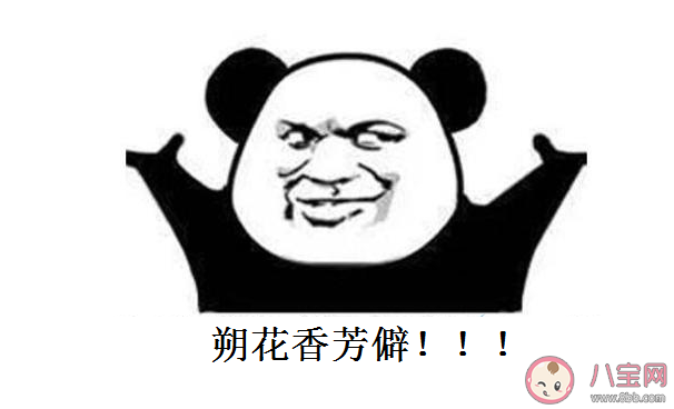 朔花香芳僻是什么意思什么梗 朔花香芳僻梗出處來源是什么