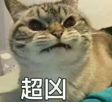 如何用最狠的語氣說出最慫的話 最狠的語氣說最慫的話語錄 如何用最狠的語氣說出最慫的話 最狠的語氣說最慫的話語錄