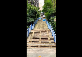 重慶人都不胖的原因是什么 重慶的路到底有多難走