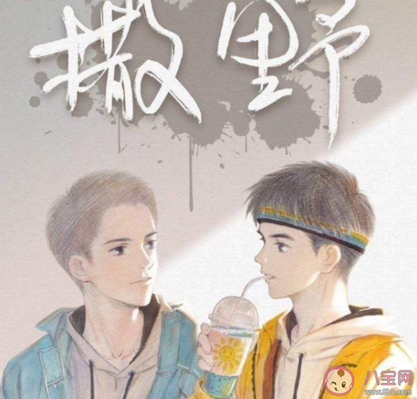 《撒野》小說(shuō)要改編電視劇是真的嗎 《撒野》是耽美小說(shuō)嗎