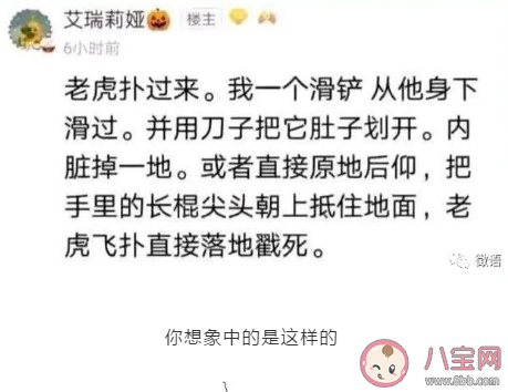 我直接一個滑鏟是什么意思什么梗 老虎撲過來我一個滑鏟出處 我直接一個滑鏟是什么意思什么梗 老虎撲過來我一個滑鏟出處