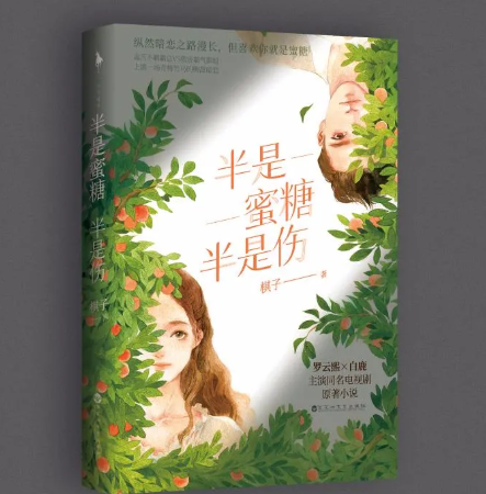 電視劇半是蜜糖半是傷結(jié)局是什么 小說結(jié)局是什么 電視劇半是蜜糖半是傷結(jié)局是什么 小說結(jié)局是什么