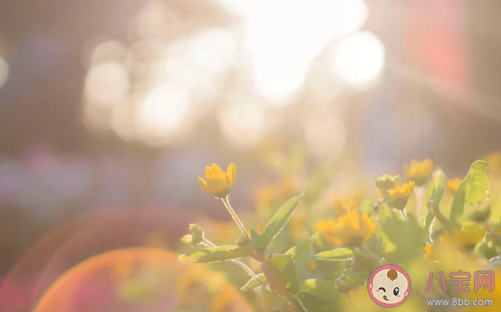 我們是不是在哪里見過怎么回答 被妹子問姓名怎么聊天