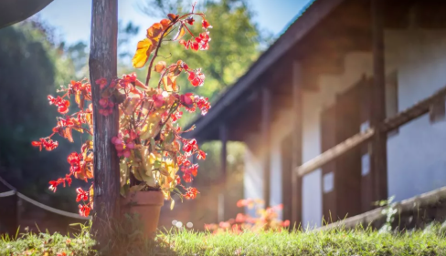 生活中有哪些撩女生的經(jīng)典對(duì)話 套路女生的幽默對(duì)話 生活中有哪些撩女生的經(jīng)典對(duì)話 套路女生的幽默對(duì)話
